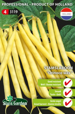 Bush Bean Orinoco (Phaseolus) 400 seeds SL